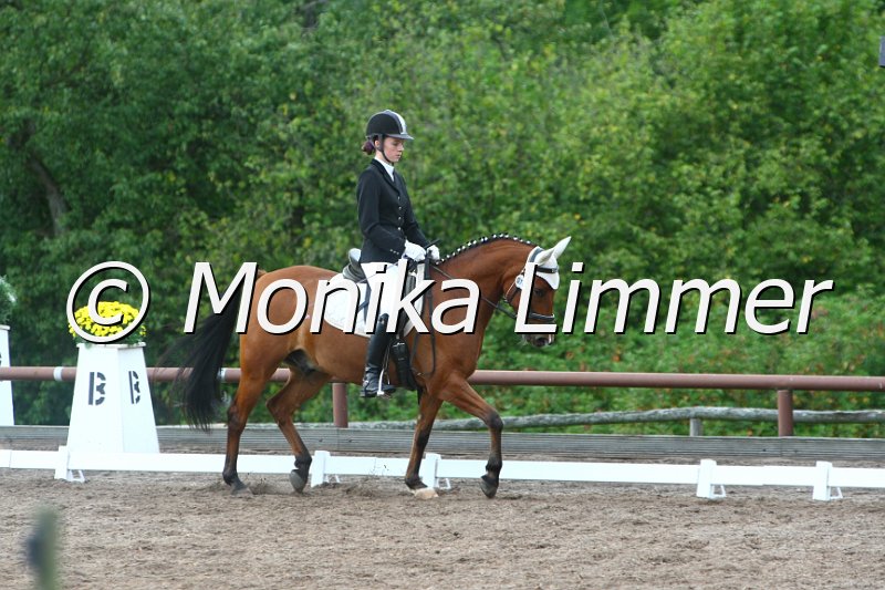 109M2509_Good Lucky Boy_Dressur_A.JPG